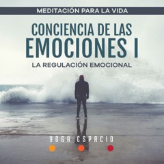 conciencia-de-las-emociones-i-la-regulacion-emocional