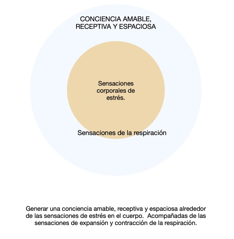 DIAGRAMA CONCIENCIA ESPACIOSA Y SENSACIONES ESTRES