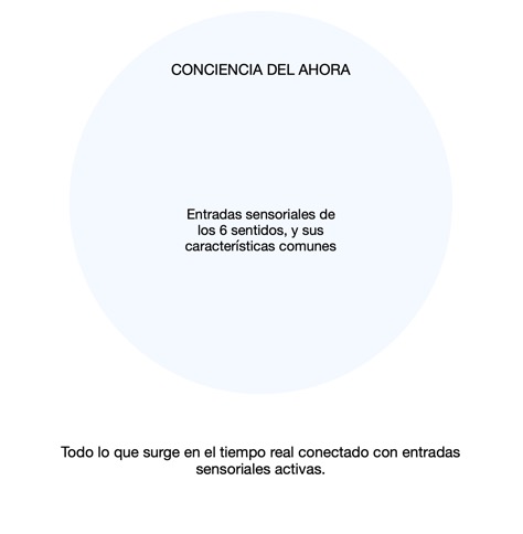 DIAGRAMA CONCIENCIA DEL AHORA